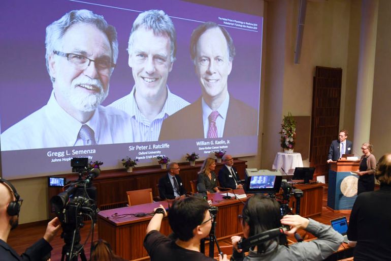 William Kaelin, Peter Ratcliffe, Gregg Semenza, Nobelova nagrada, Medicina