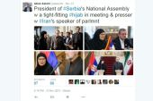 Gojković je objasnila da je željela da pokaže da cijeni to što Iran nije priznao nezavisnost Kosova, piše autor (Twitter / abasinfo)