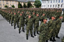 Vojska, Vojnici, Hrvatska vojska, Ročnici, Ročna vojska, Vojni rok