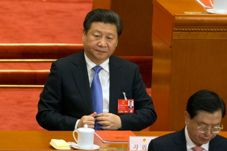 Xi Jinping, Kina