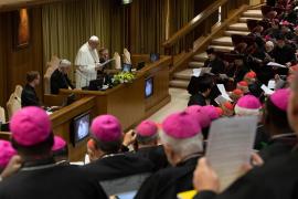 Papa Franjo, Vatikan, Biskupi, Samit, Seksualno zlostavljanje