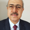 Mahmoud Abdel-Hadi
