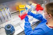 Njemački Institut za zarazne bolesti Robert Koch prijavio je 203.136 pozitivnih testova u posljednja 24 sata, što je za 69.600 slučajeva više nego istog dana prije sedmicu dana (EPA)