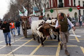 Demonstracije poljoprivrednika su mnoge evropske vlade, ali i samu Evropske komisiju, stavili u stanje pripravnosti, pi&scaron;e autor (Violeta Santos Moura / Reuters)